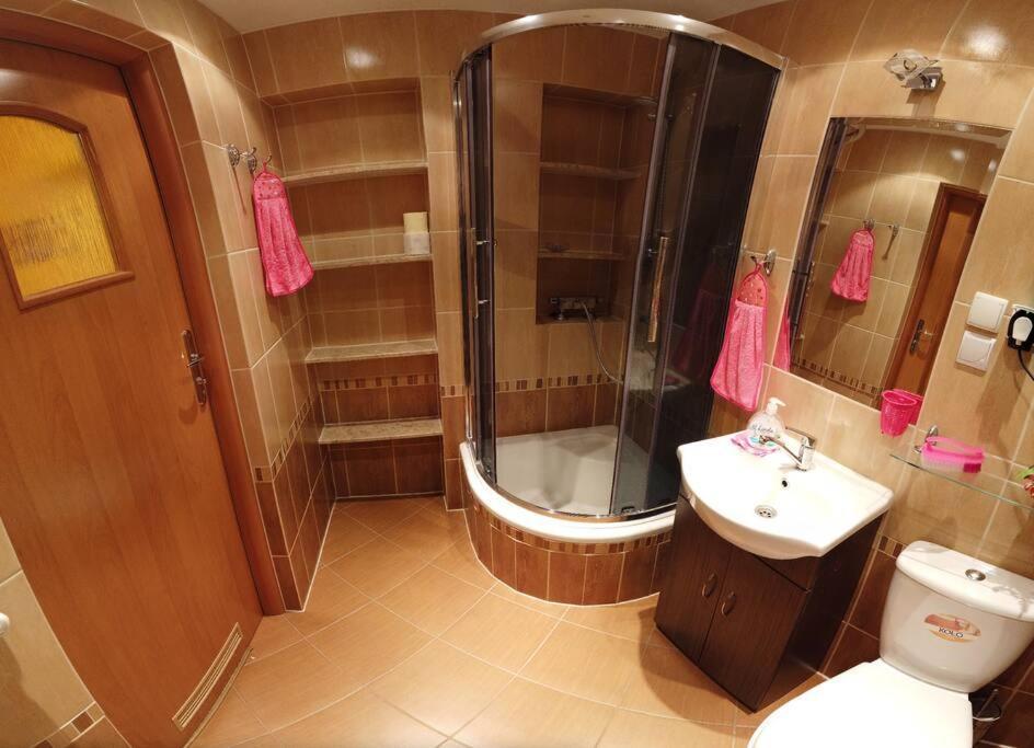 Apartment 2 Czarny Potok Krynica Zdroj